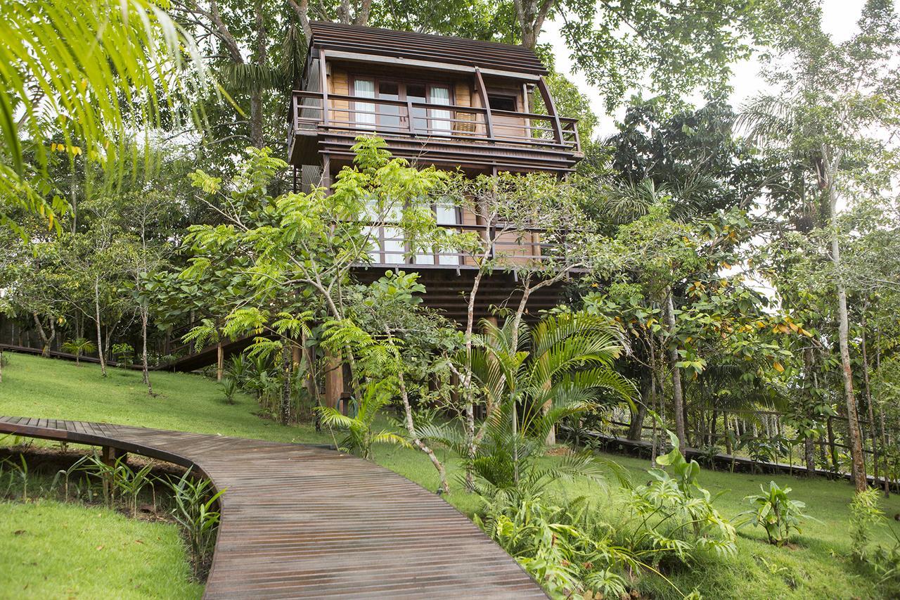 Mirante Do Gaviao Amazon Lodge Novo Airão Exterior foto